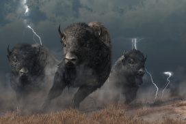 A herd of bison running across the field.